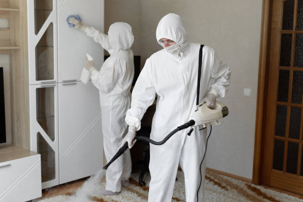 Best Attic Mold Removal  in Prunedale, CA