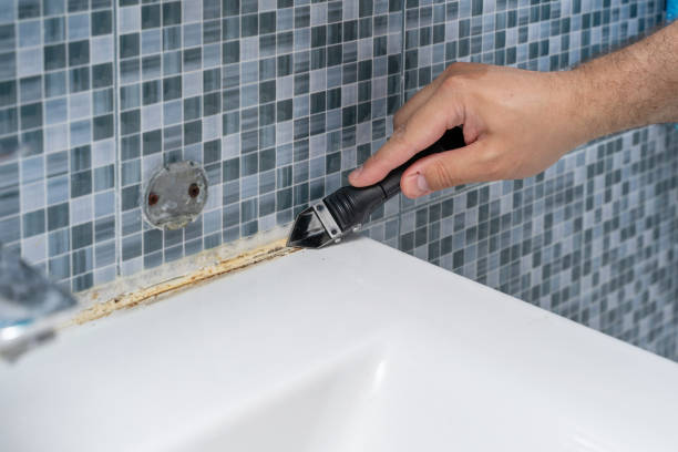 Best Home Mold Removal  in Prunedale, CA