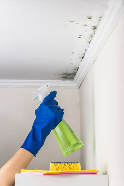 Best Residential Mold Removal  in Prunedale, CA